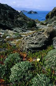 Hoteles cerca de Parque Natural del Cabo de Creus - Guía de ocio GERONA