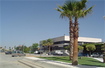 AS HOTEL PARAISO - Hotel cerca del Aeropuerto Federico García Lorca Granada - Jaen